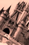 Disney World